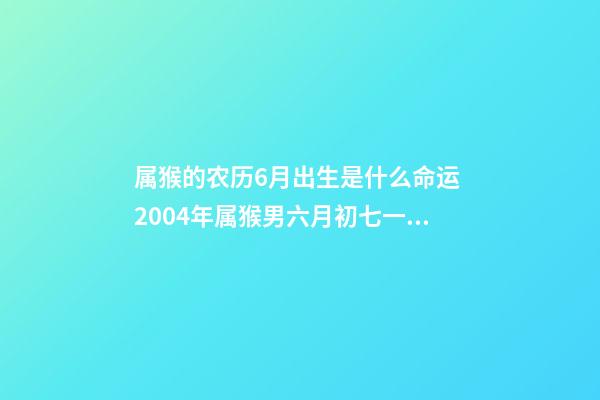 属猴的农历6月出生是什么命运 2004年属猴男六月初七一生命运怎么样-第1张-观点-玄机派